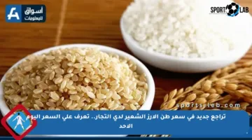 تراجع جديد في سعر طن الأرز الشعير لدى التجار.. تعرف على السعر اليوم الأحد